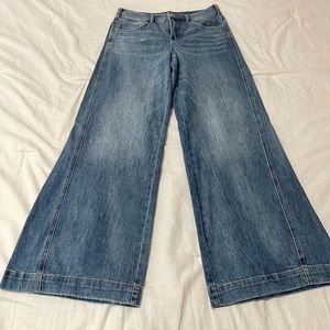 COPY - New w/out Tags Anthropologie Pilcro Wide Leg Jeans - size 29